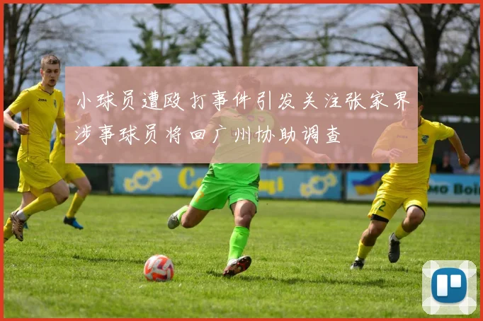 小球员遭殴打事件引发关注张家界涉事球员将回广州协助调查