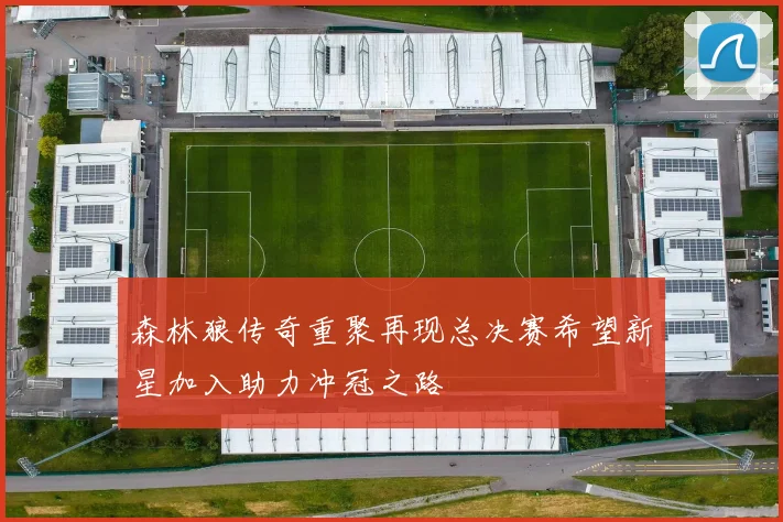 森林狼传奇重聚再现总决赛希望新星加入助力冲冠之路