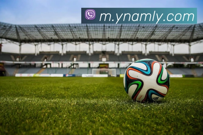 战术分析频道